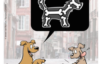 It’s what’s inside that counts!