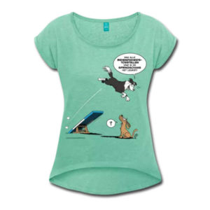 Border collie Behendigheid / veel te vlugge hond